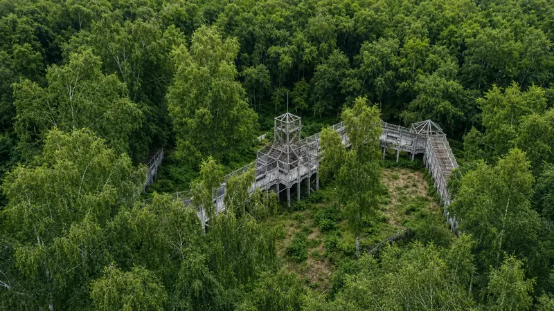 The Bridge