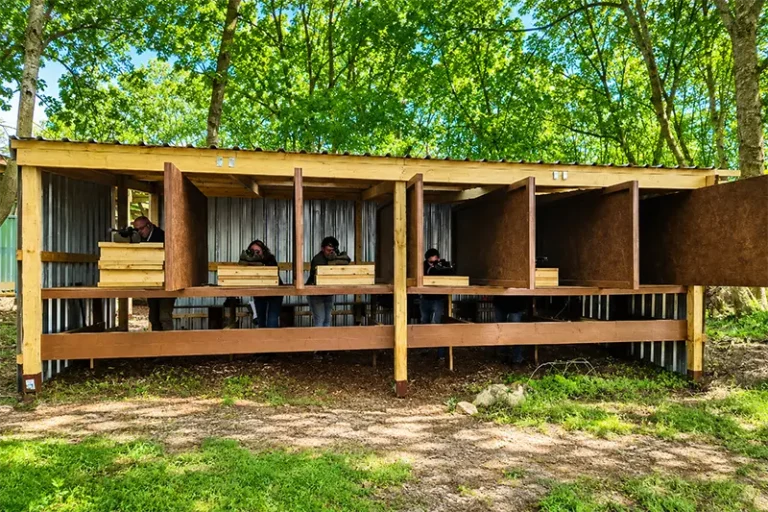 Zombie Apocalypse Training Facility - Air Rifle Shooting